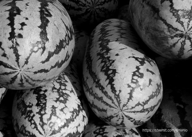 patillas-bw.jpg