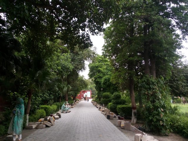 1000054306.jpg