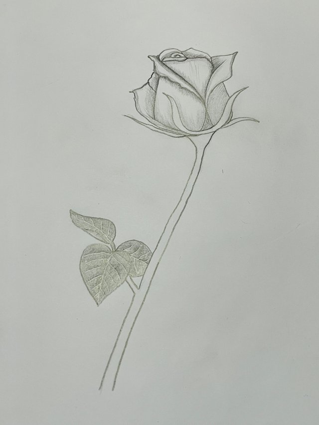 IMG_1109.jpeg