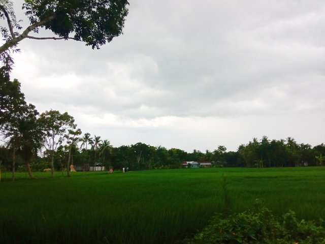 IMG_20250917_200120.jpg