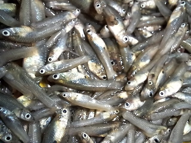 20230903_122816.jpg
