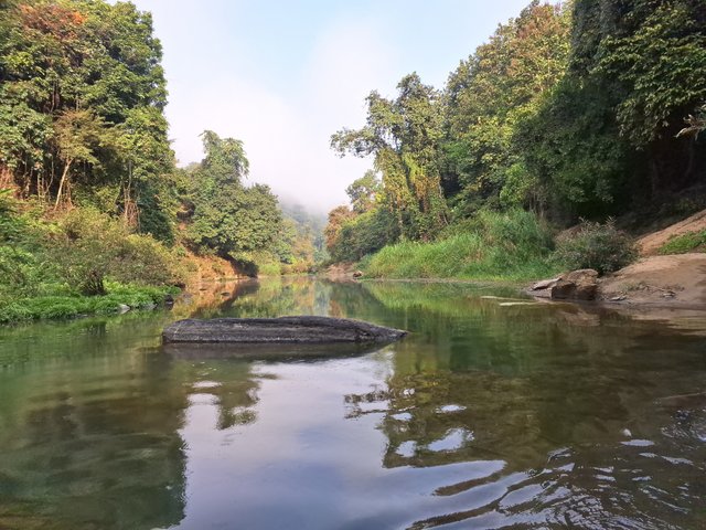 20240121_083017.jpg