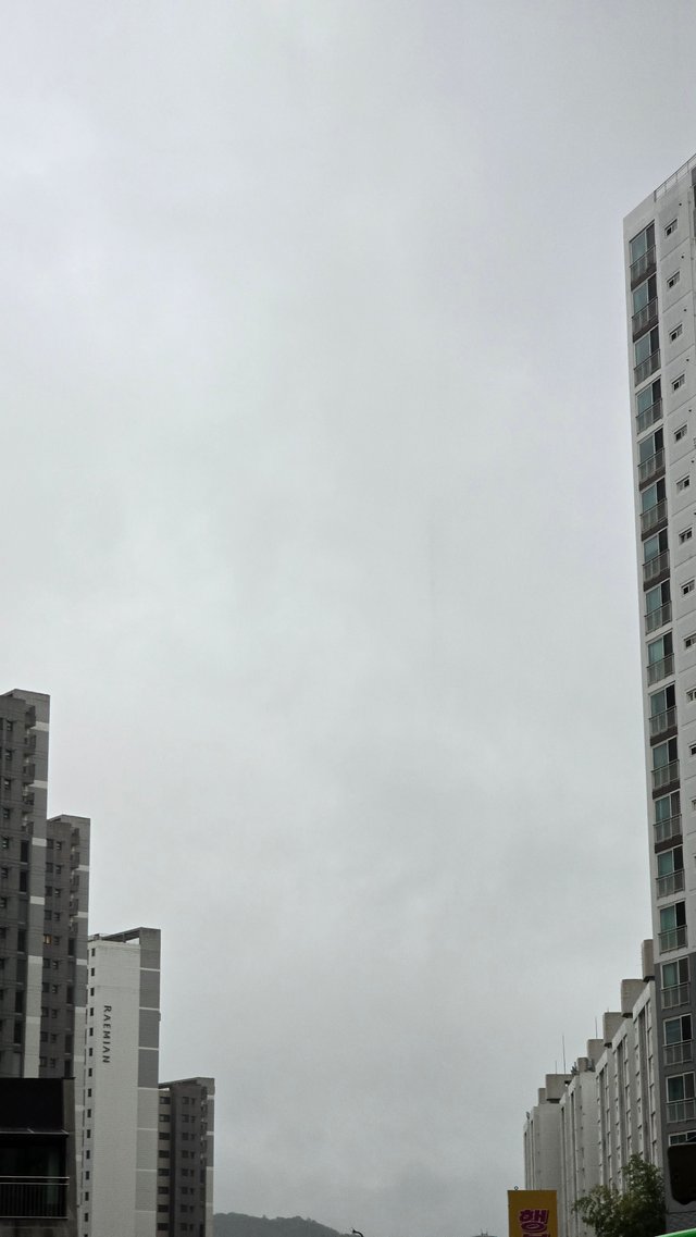 1000133916.jpg