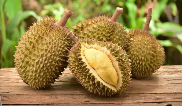 photo-durian-3.jpg