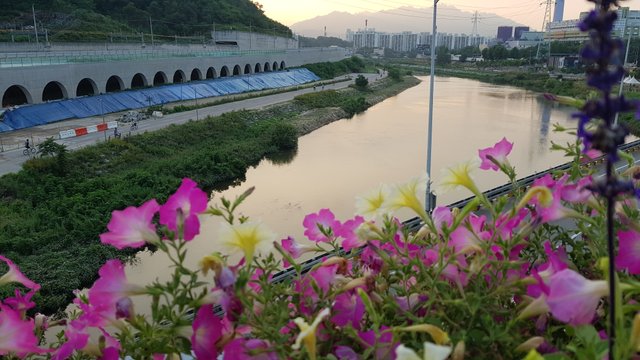 걷기운동 사진 고혈압을 위한 운동 무료이미지10.jpg