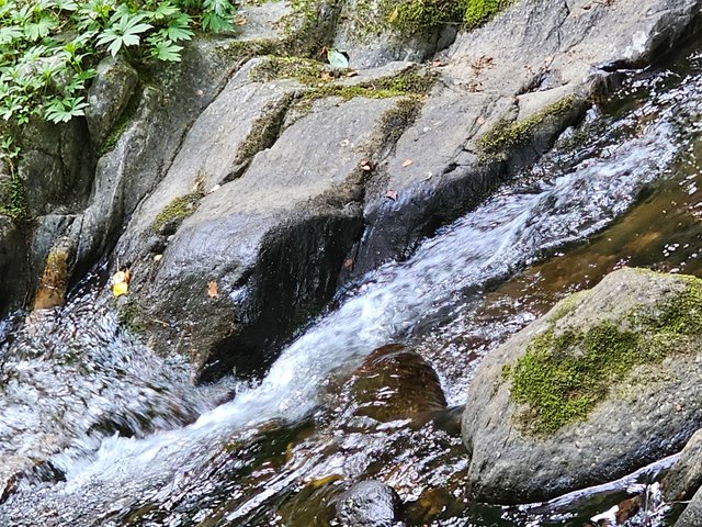20250608_152522.jpg