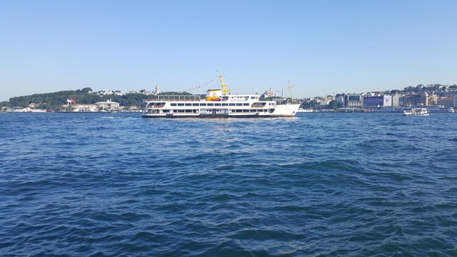 ferry.jpg