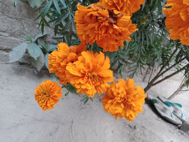 IMG20210212172625.jpg