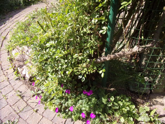 100_2667.JPG