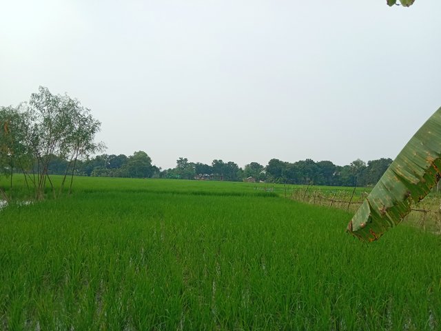 IMG_20250920_082719.jpg