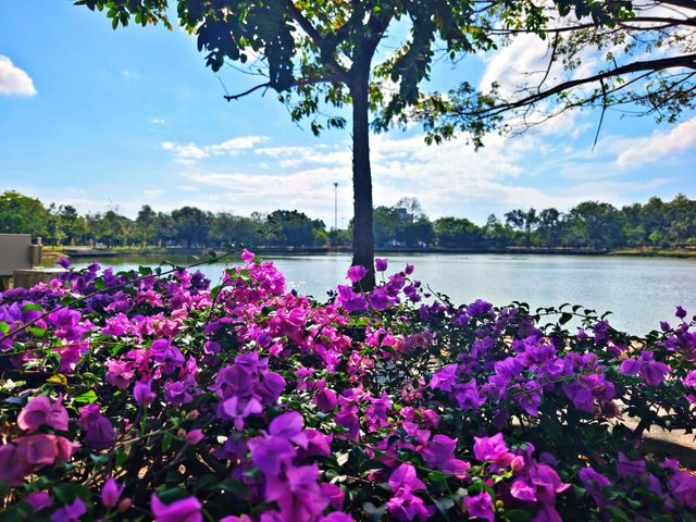 IMG_20250117_094638.jpg