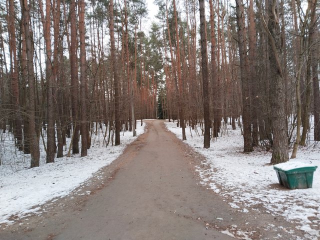 IMG_20250406_181335.jpg