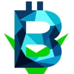 blockvest-logo.jpg