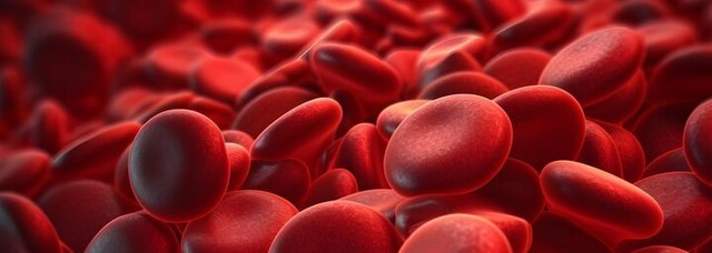 close-up-red-blood-cells_81048-31415_1.jpg