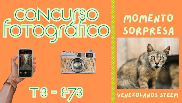 Concurso fotográfico (51).jpg