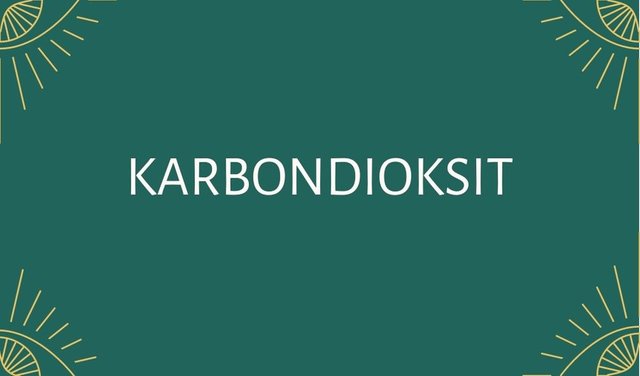 KARBONDIOKSIT.jpg