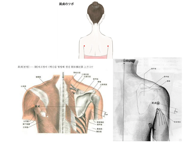 슬라이드1.GIF