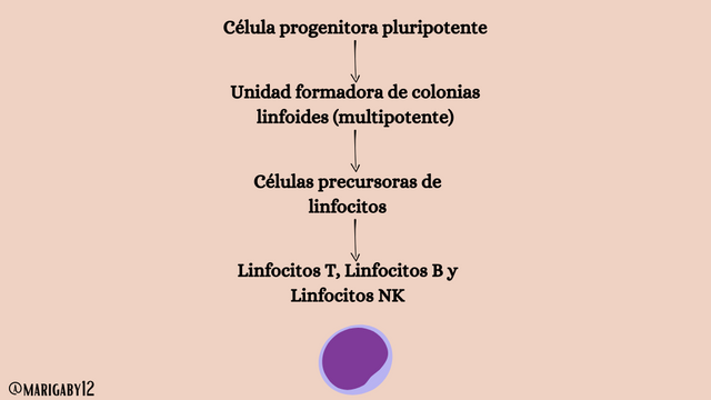 Blood groups (1024 x 576 px) (3).png