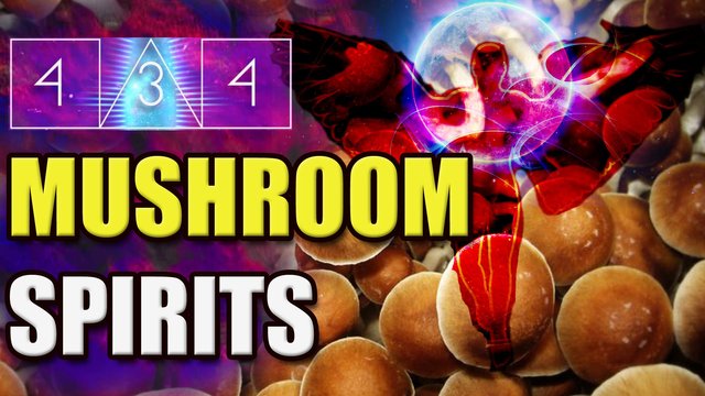 434 mushroom spirits copy 2.jpg