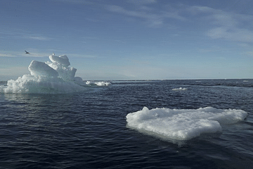 Arctic Ocean.reuters.png