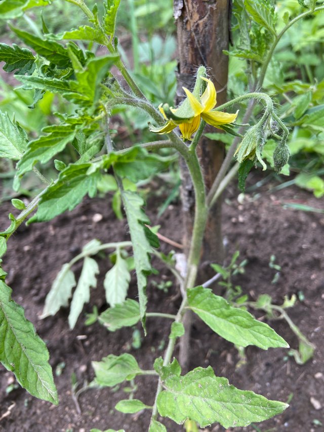 IMG7672.JPG