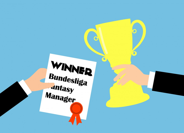 Bundesliga Fantasy Manager Winner