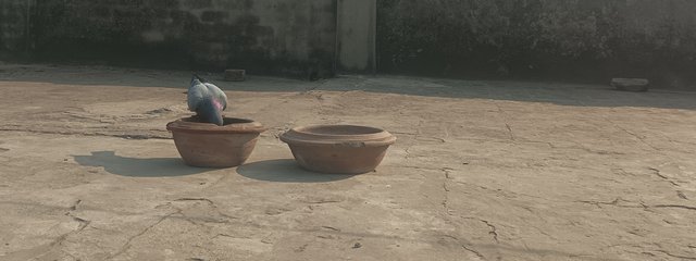 1759453053840.jpg