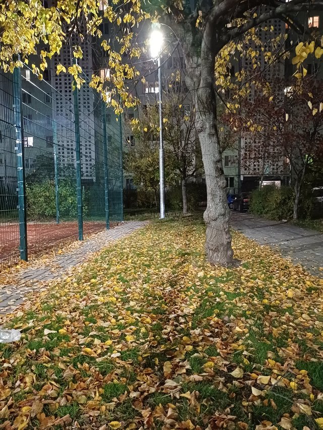 20251019_190349.jpg