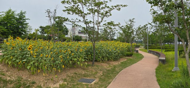 KakaoTalk_20250801_022657402_12.jpg