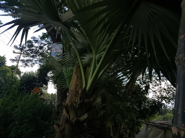 1000050257.jpg