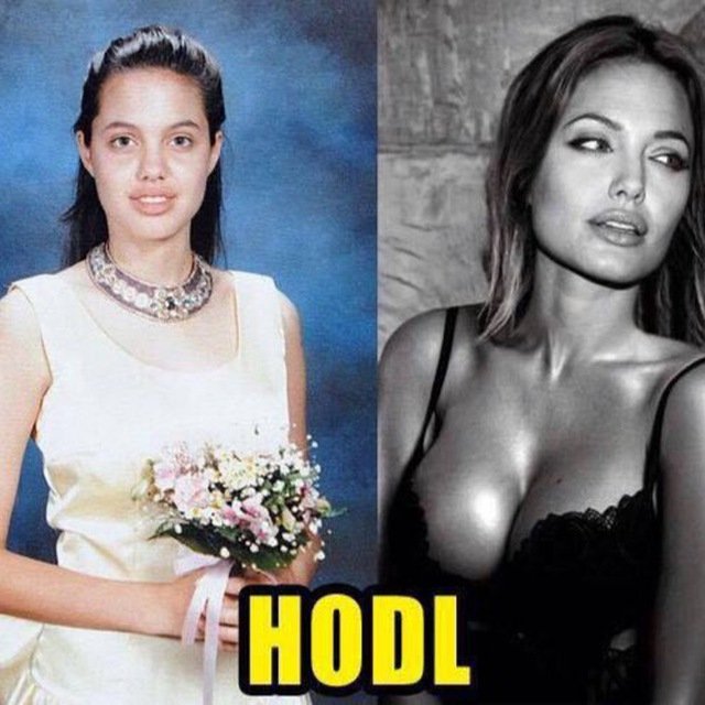 Hodl.jpg