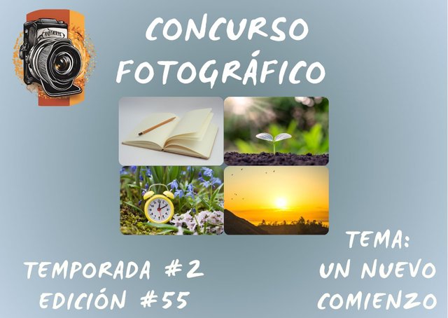 Concurso fotográfico (24).jpg