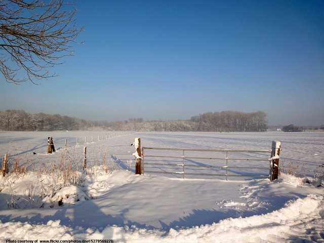 GateAtSnowyField-001-062518.jpg