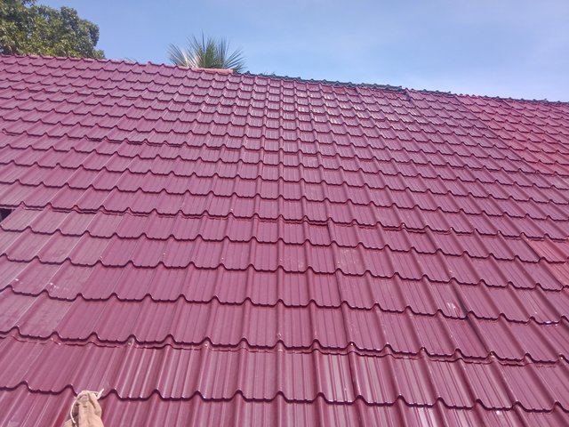 IMG_20250917_110938.jpg