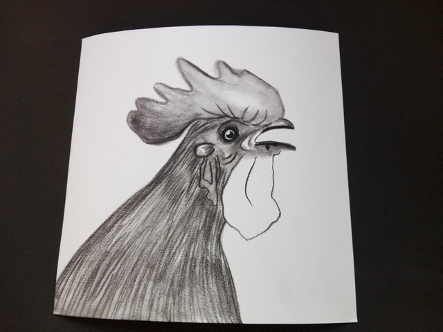 rooster(247).jpg