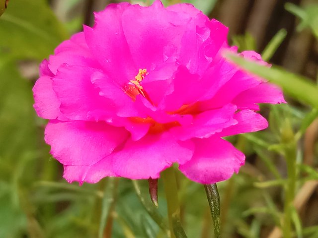 IMG_20250910_205446.jpg