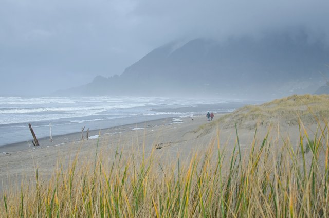 Walking on the foam cold beach.JPG