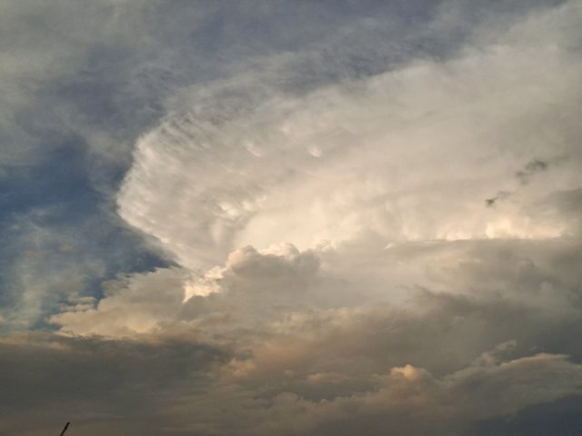 20250706_184037.jpg