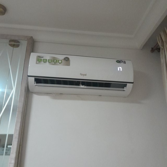 1000173502.jpg