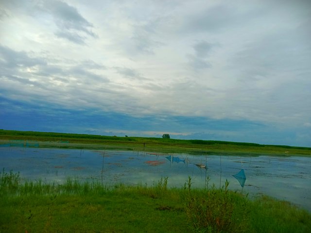 IMG_20250622_200546.jpg
