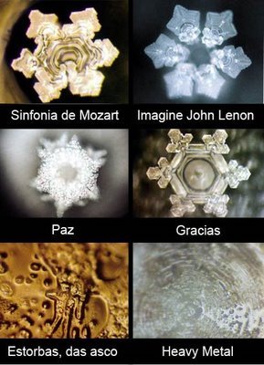 mensajes-del-agua-masaru-emoto.jpg