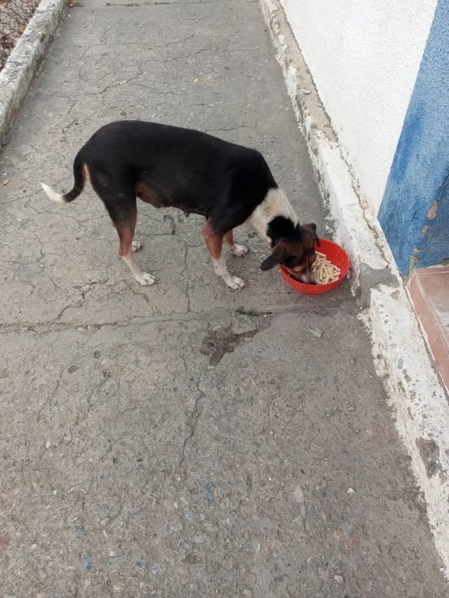 Imagen de WhatsApp 2025-03-21 a las 23.33.07_f4597901.jpg