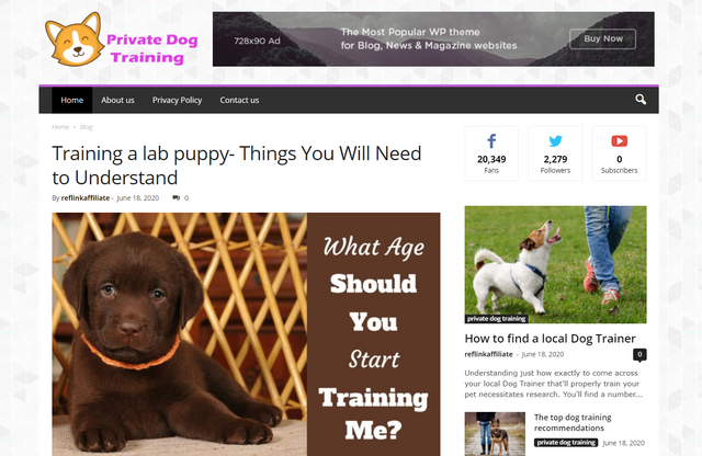 Private Dog Training Blog Website How To Train a Dog Train Tour Dog Dogs Training website blogs.png