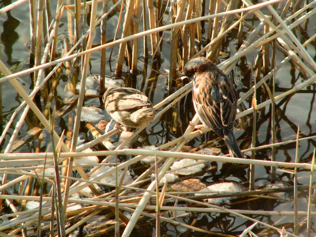 PICT0410.jpg