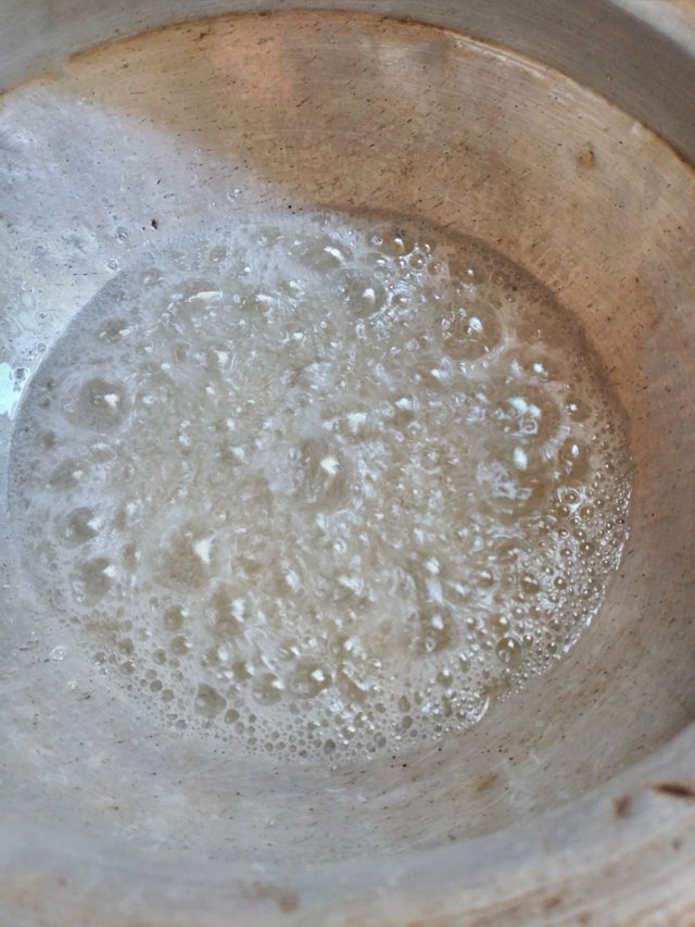 20250516_091350.jpg