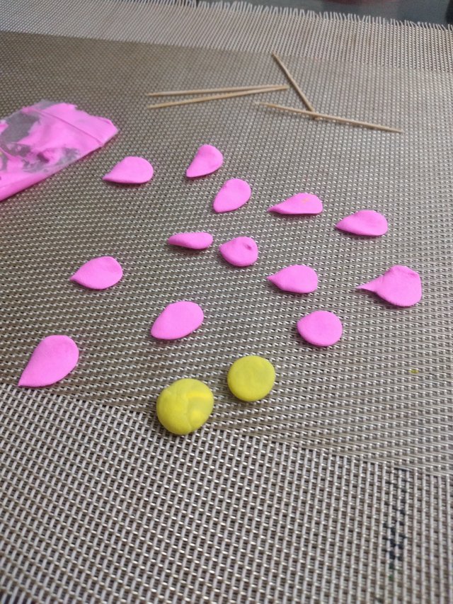 20250730_085038.jpg
