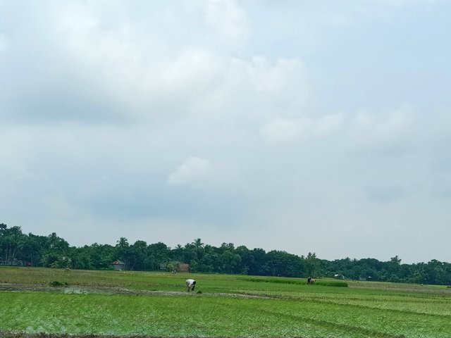 IMG_20250813_102402.jpg