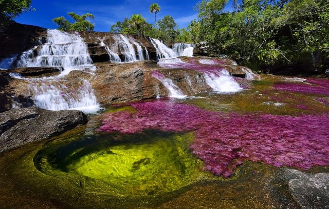 ogrunewald_cano_cristales_24_1800x1201-870x555.jpg