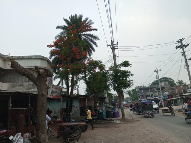 IMG_20250422_164717_976.jpg