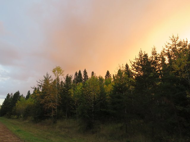 sunset painting a fiery glow above the trees.JPG